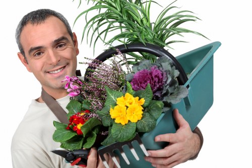 Professional house cleaning service