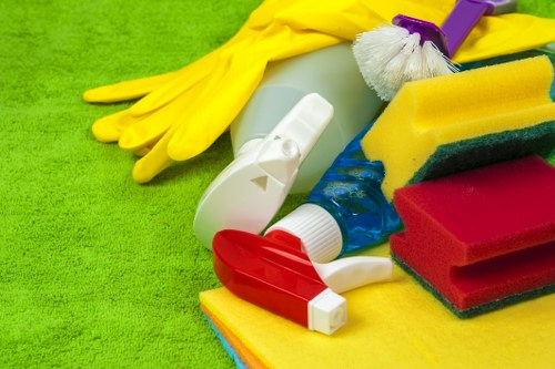 Final touches for a sparkling clean house